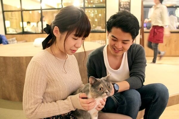 猫ちゃんと戯れるお二人